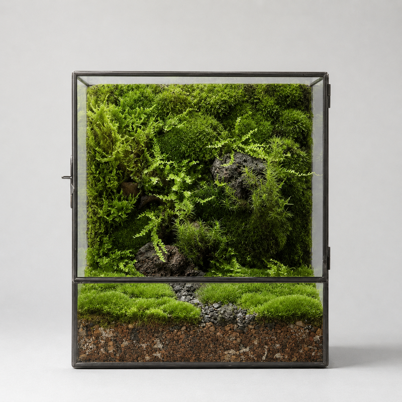 Terrarium cube en verre 20 × 13 × 25 cm avec porte