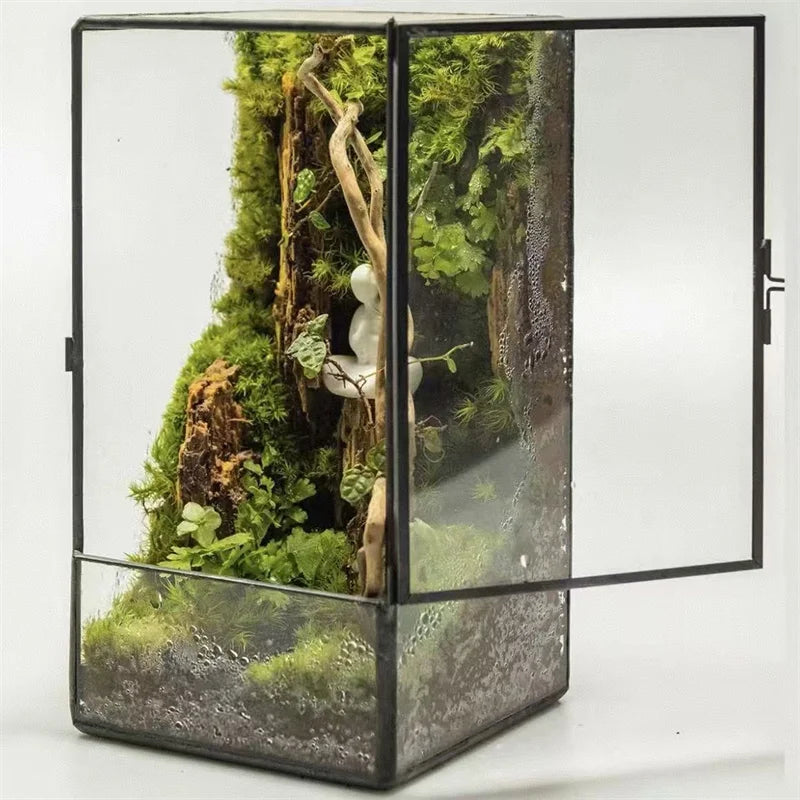 Terrarium carré en verre 11 × 11 × 21,5 cm pour mousse et micro-paysages