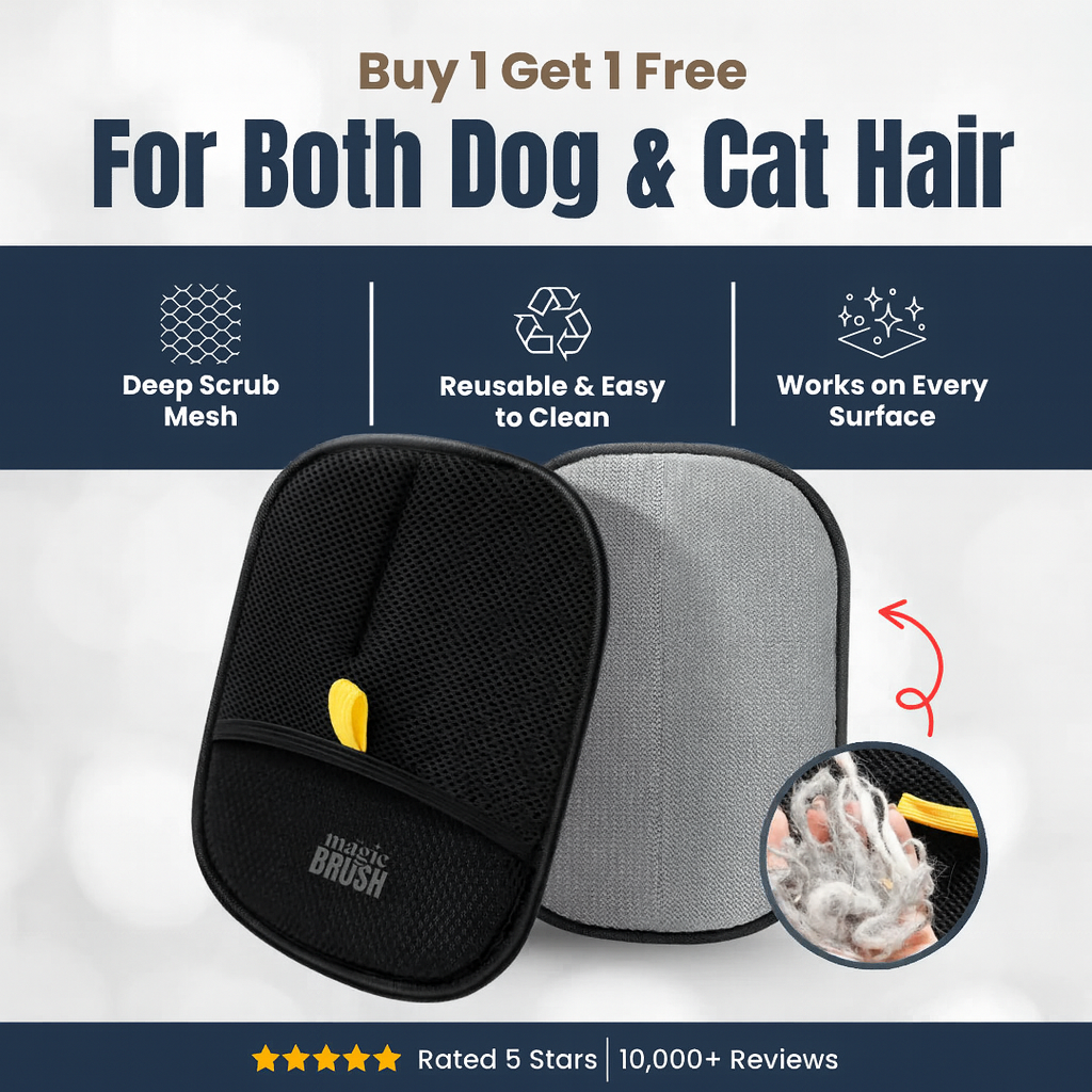 The Magic Brush - Buy 1 Get 1 Free