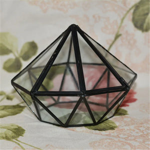 Terrarium diamant en verre noir pour mousse et micro-paysages