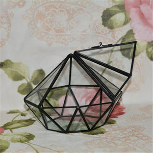 Terrarium diamant en verre noir pour mousse et micro-paysages