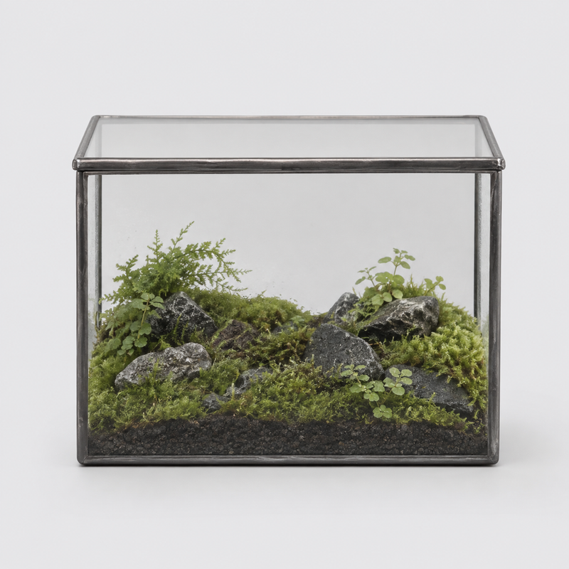 Terrarium cuboïde en verre pour micro-paysages