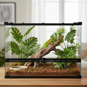 Terrarium en verre 50 × 30 × 35 cm avec base surélevée et double porte