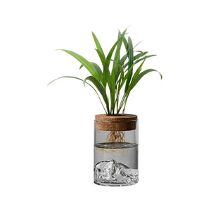 Vase bouteille en verre hydroponique pour plantes d’intérieur