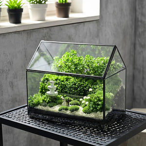 Terrarium rectangulaire en verre avec fenêtre pour plantes