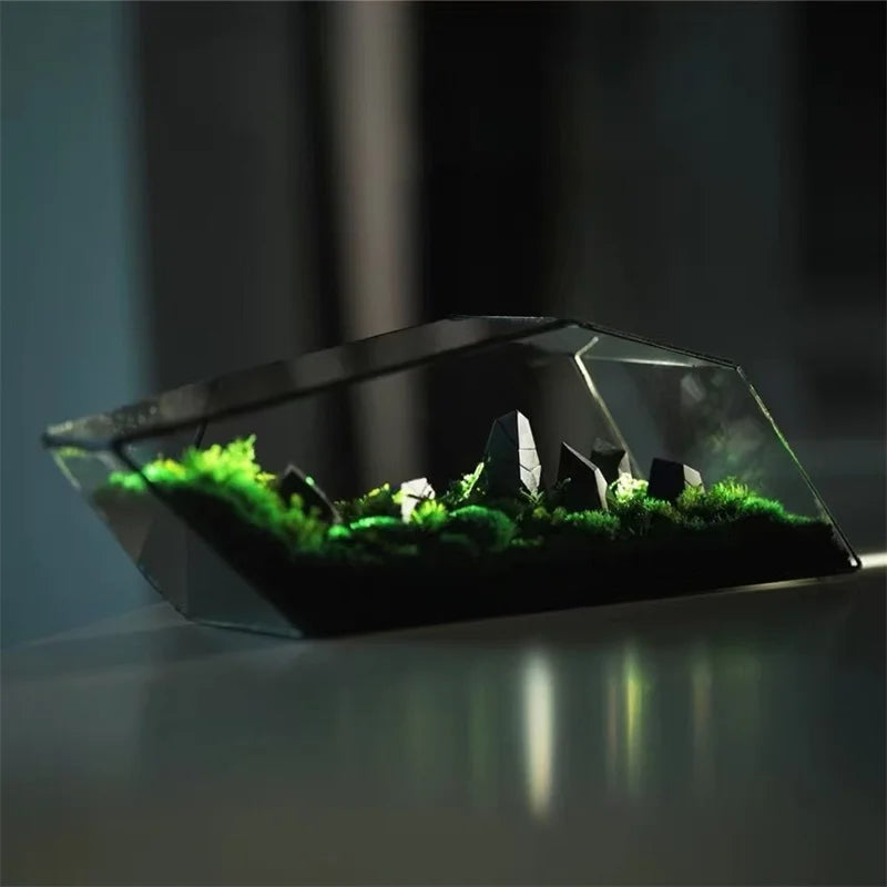 Terrarium géométrique en verre 32,5 cm pour mousse et micro-paysages