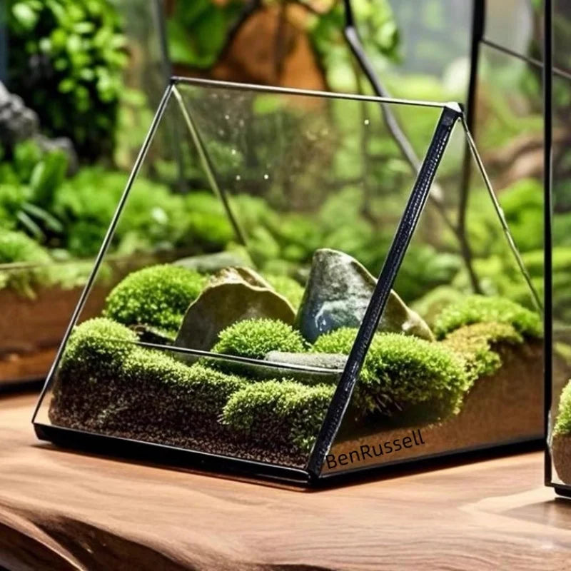 Terrarium triangulaire en verre pour plantes et micro-paysages