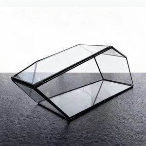 Terrarium géométrique en verre 32,5 cm pour mousse et micro-paysages
