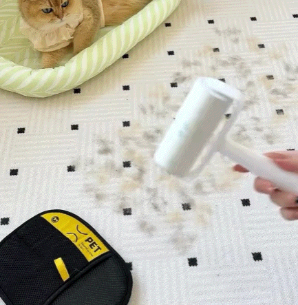 The Magic Brush - Buy 1 Get 1 Free